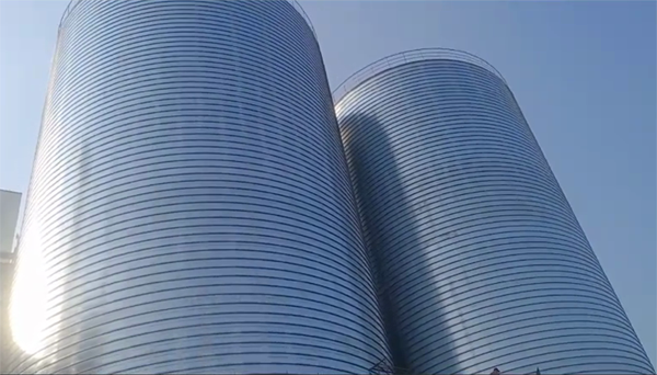 泰兴2座混凝土高架卷板仓